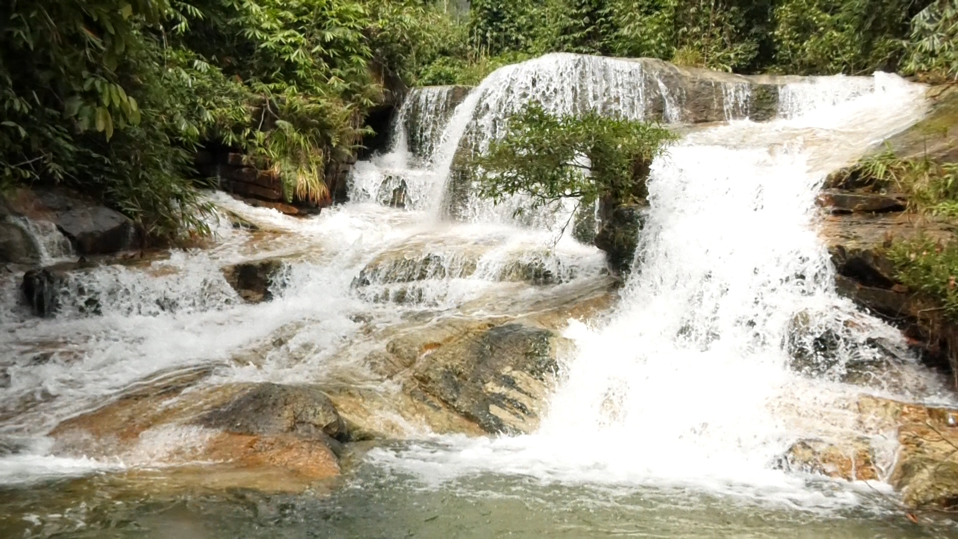 Đây là thác nước đẹp như phim ở Thanh Hóa, có lan rừng thơm, dưới suối vô số cá, tôm lạ mắt- Ảnh 5.