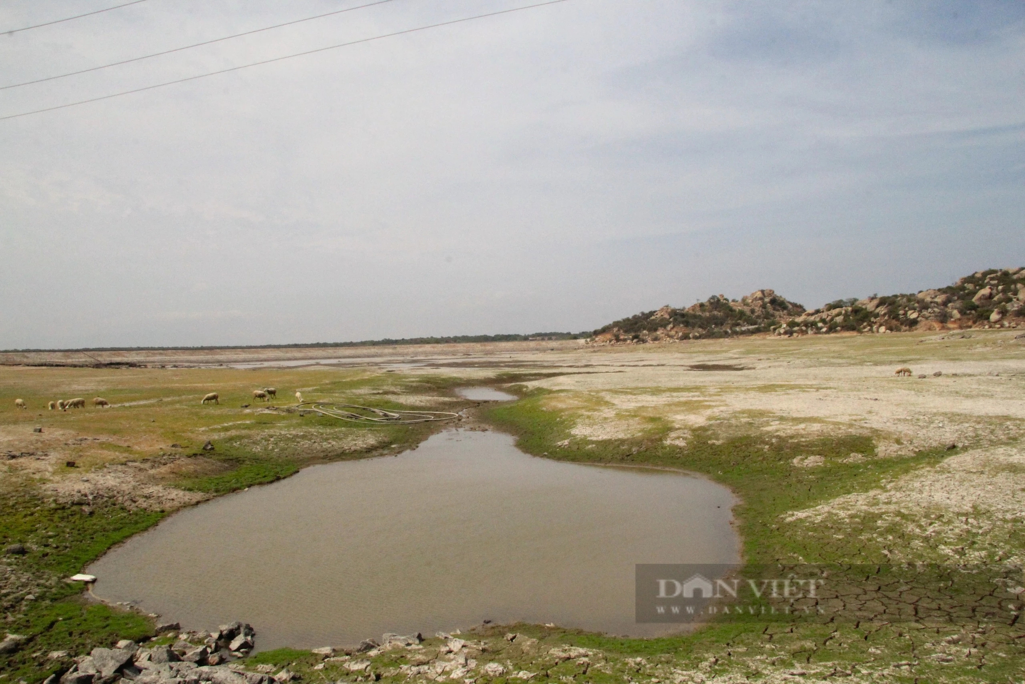 Nắng nóng ở Ninh Thuận, nguy cơ nhiều hồ chứa xuống mực nước chết- Ảnh 2.