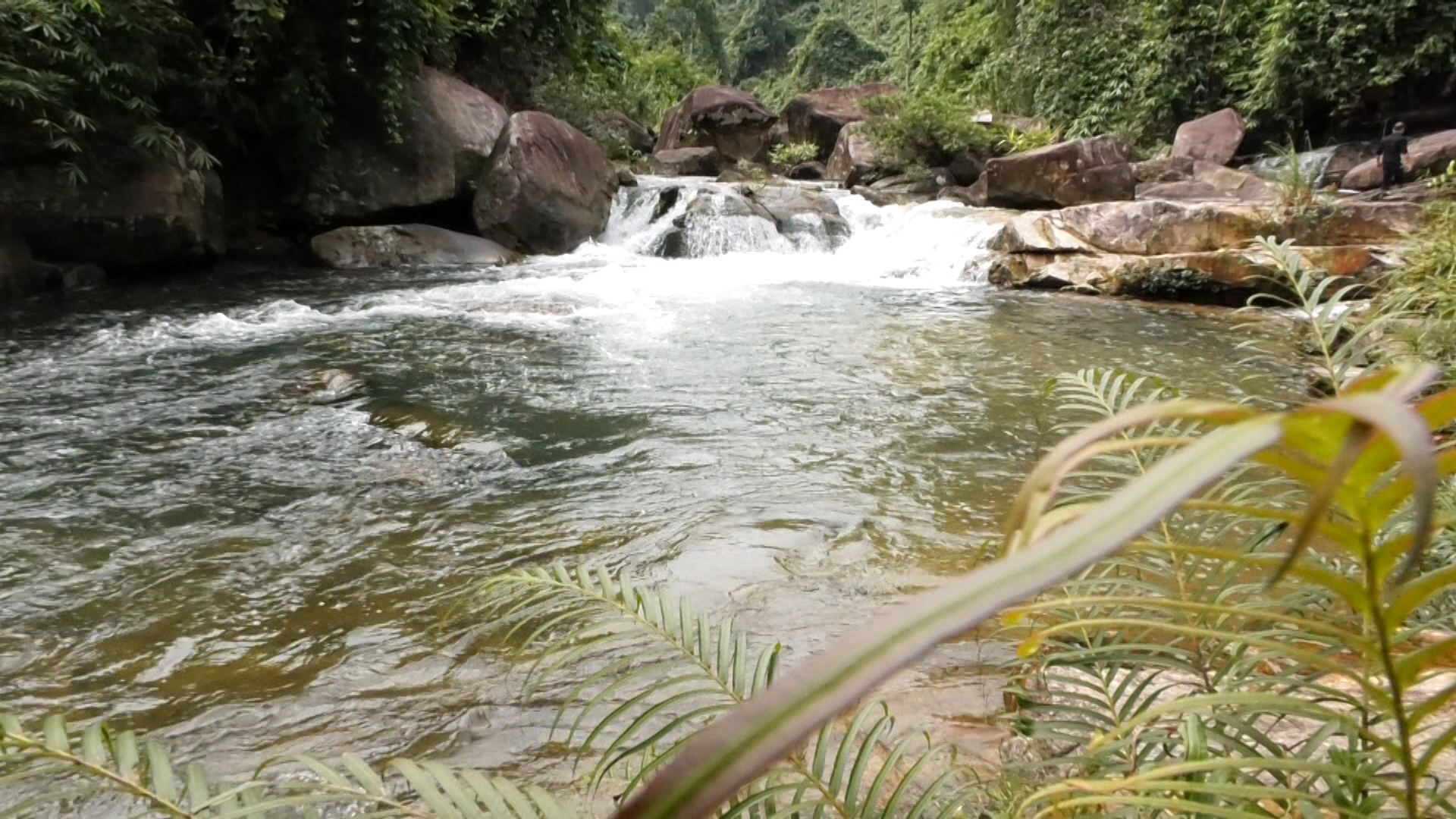 Đây là thác nước đẹp như phim ở Thanh Hóa, có lan rừng thơm, dưới suối vô số cá, tôm lạ mắt- Ảnh 3.