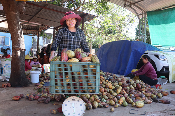 Loại quả này giàu kẽm, tăng trao đổi chất, giúp giảm cân đang tăng giá tốt ở Bà Rịa-Vũng Tàu- Ảnh 1.