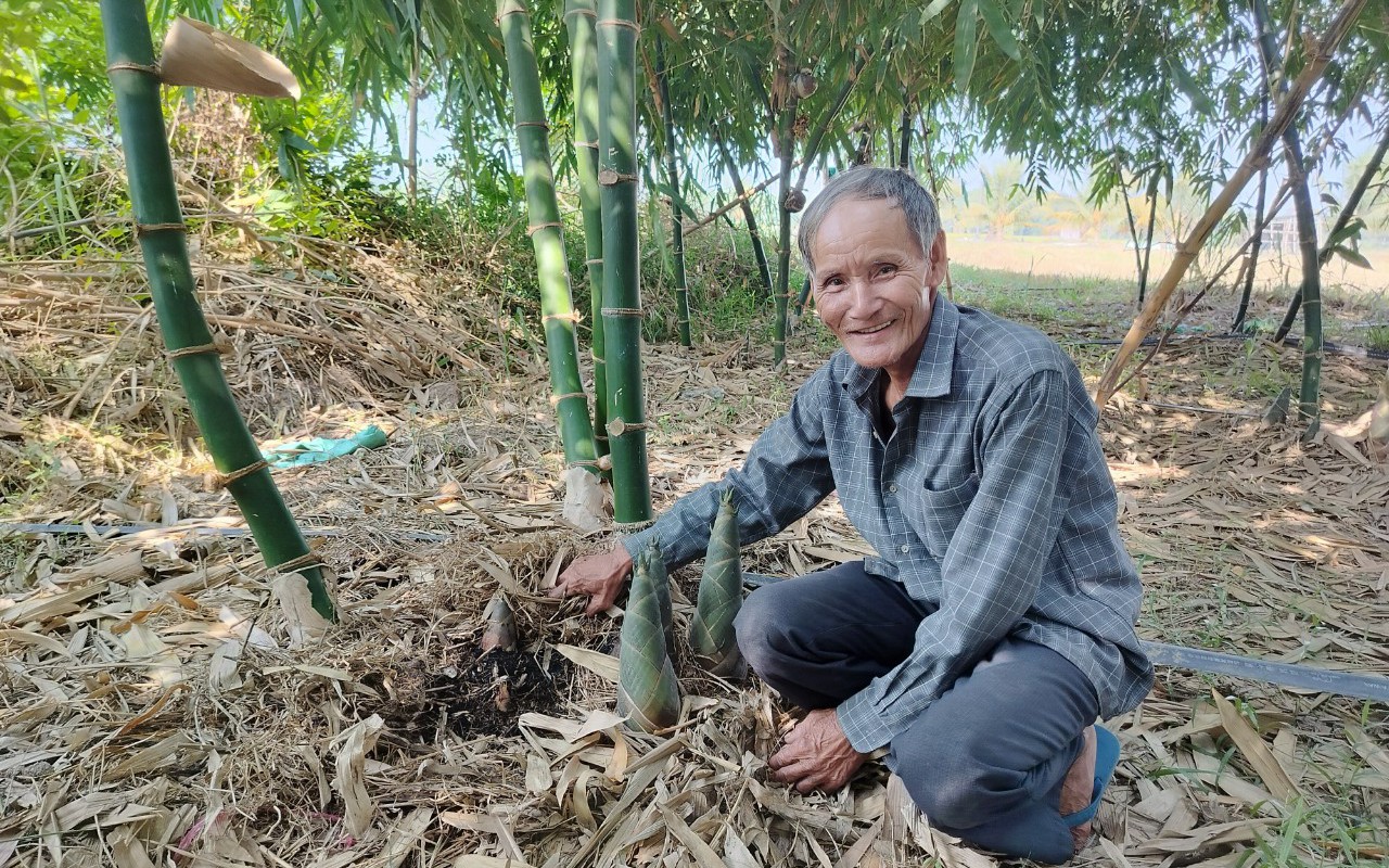 Ở Tây Ninh có 2 ông nông dâu đều chuyển sang trồng 