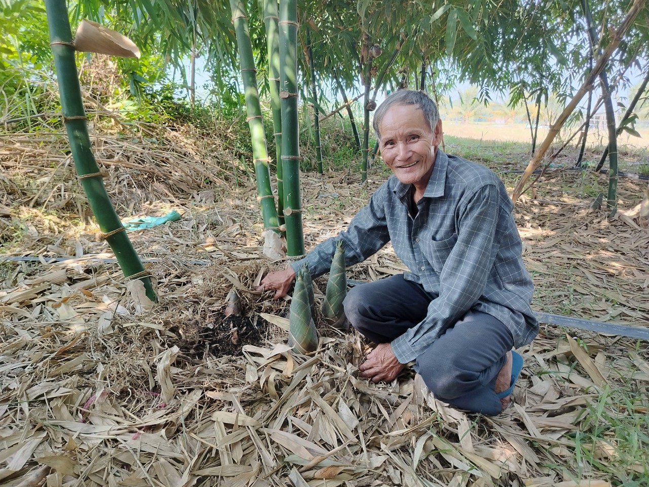 Ở Tây Ninh có 2 ông nông dân đều chuyển sang trồng "cây nồi đồng cối đá" kiểu gì mà thu tiền nhiều hơn?- Ảnh 2.