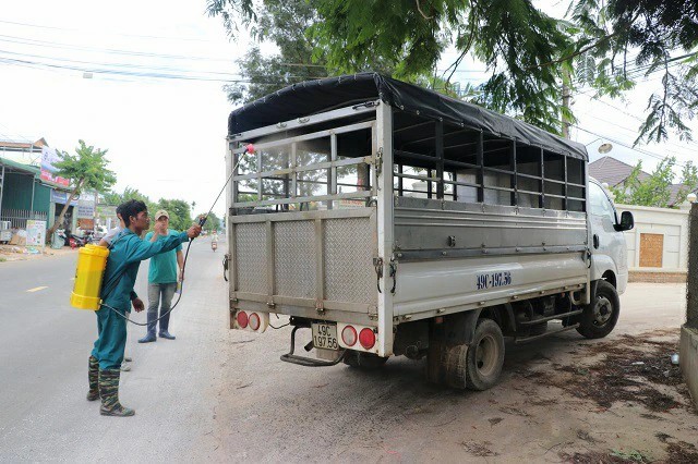 Hơn 20 con heo rừng lai mắc Dịch tả lợn châu Phi, tỉnh Lâm Đồng chỉ đạo xử lý dứt điểm- Ảnh 2.