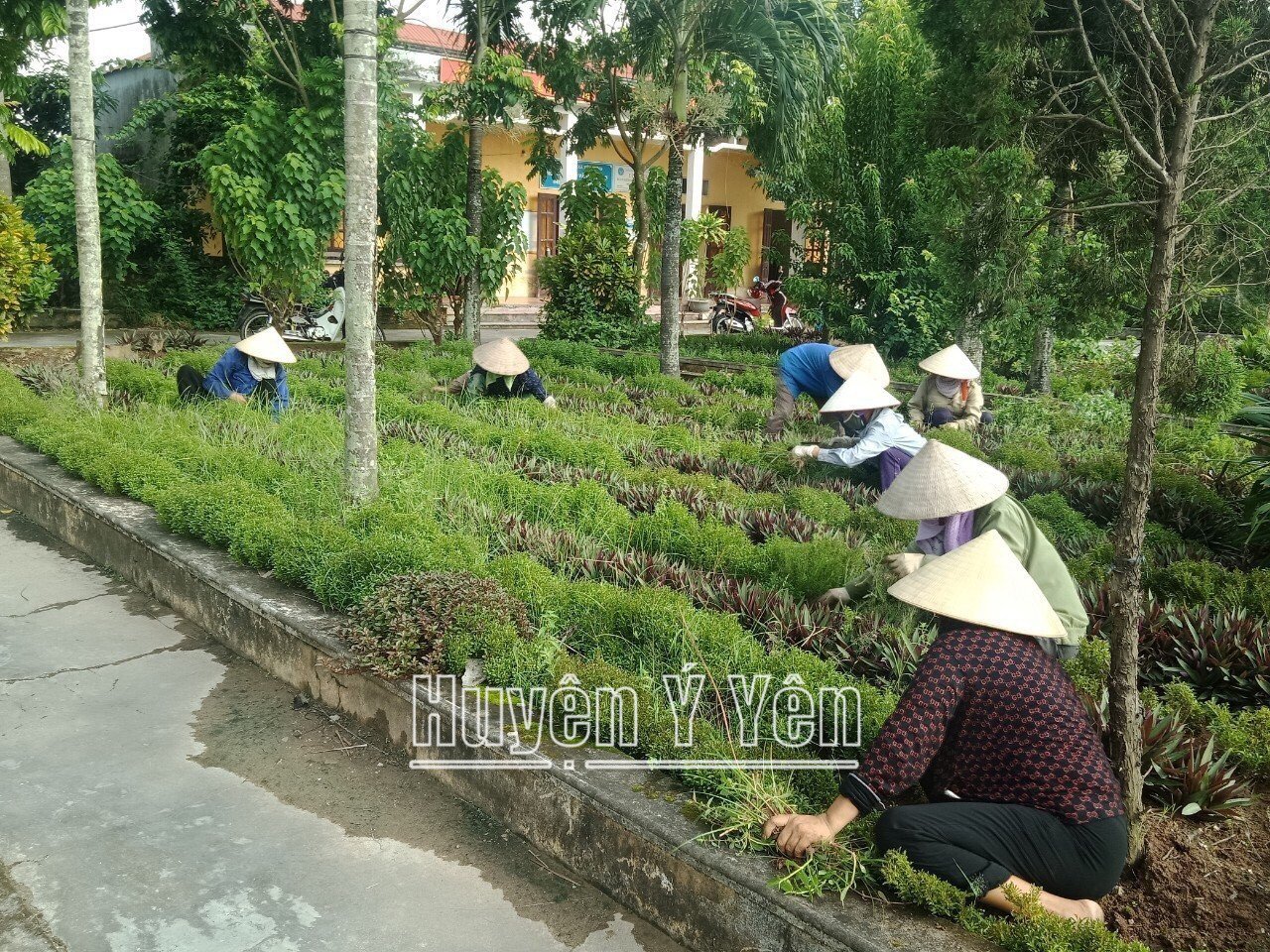 Một huyện ở Nam Định mà xã nào cũng có đường hoa nông thôn mới, có triền đê nở hoa đẹp như phim- Ảnh 4.