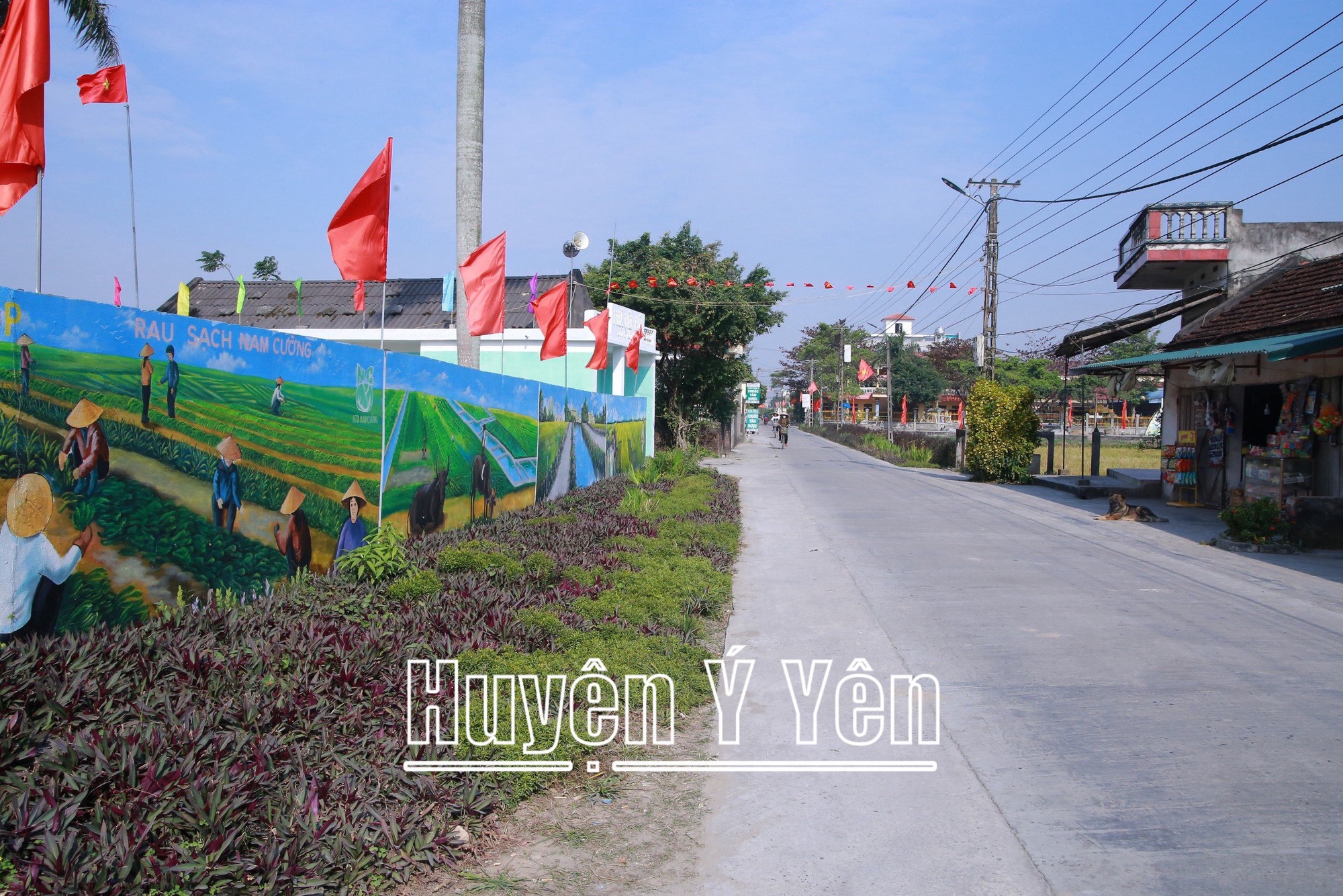 Một huyện ở Nam Định mà xã nào cũng có đường hoa nông thôn mới, có triền đê nở hoa đẹp như phim- Ảnh 10.