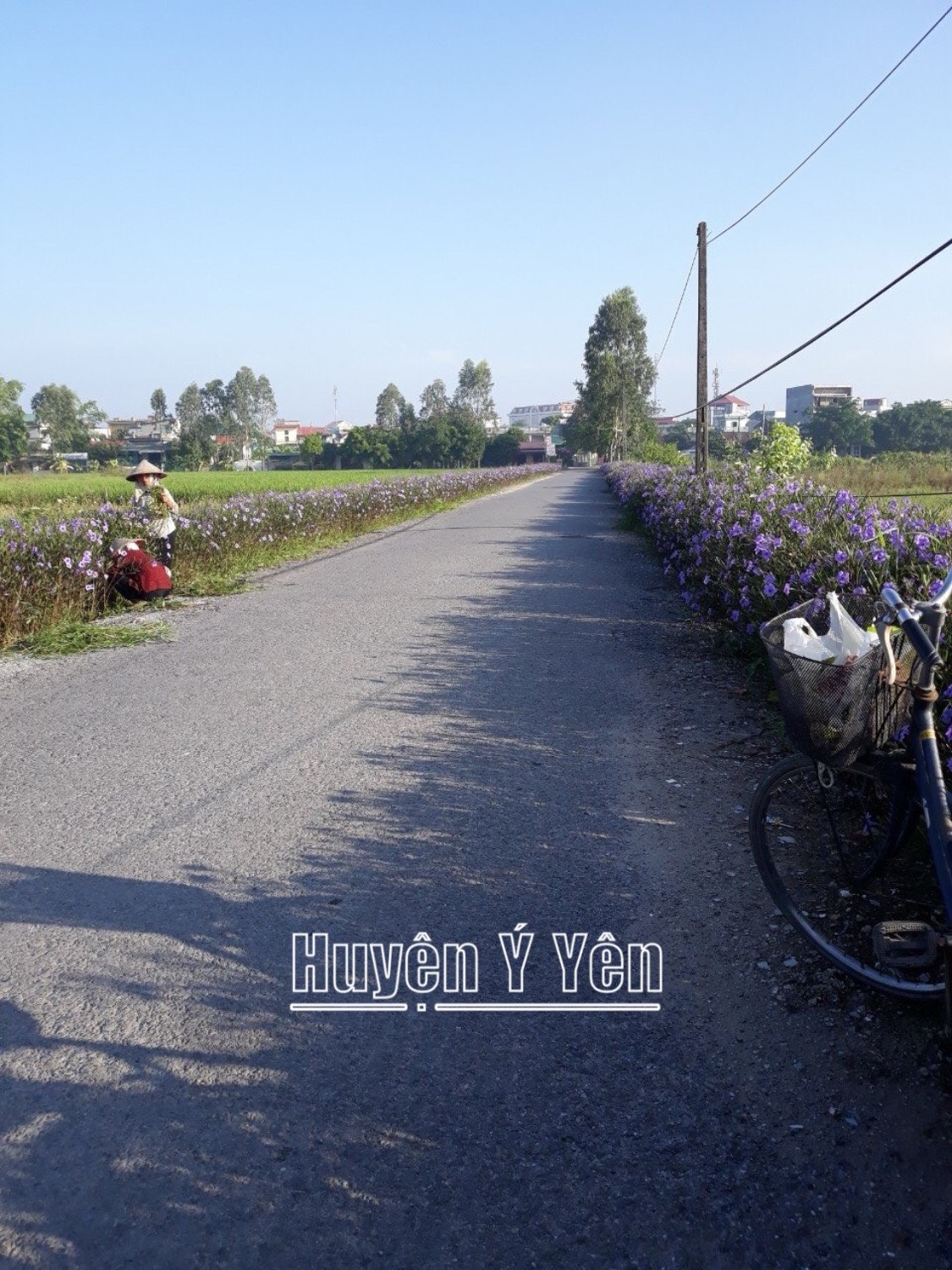Một huyện ở Nam Định mà xã nào cũng có đường hoa nông thôn mới, có triền đê nở hoa đẹp như phim- Ảnh 5.