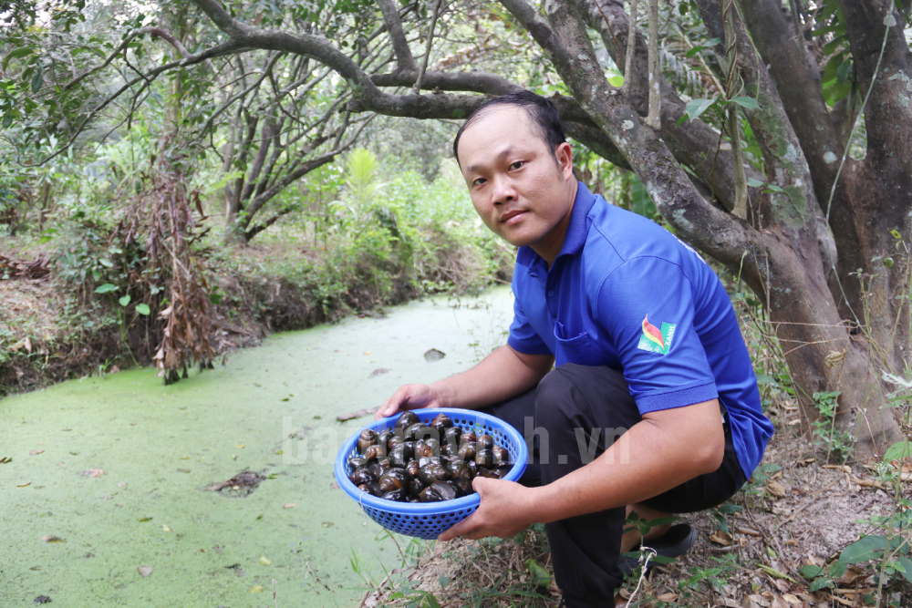Đào rãnh nuôi ốc đặc sản đẻ cản chả kịp, anh nông dân Trà Vinh làm cách nào để bán 120.000 đồng/kg?- Ảnh 3.