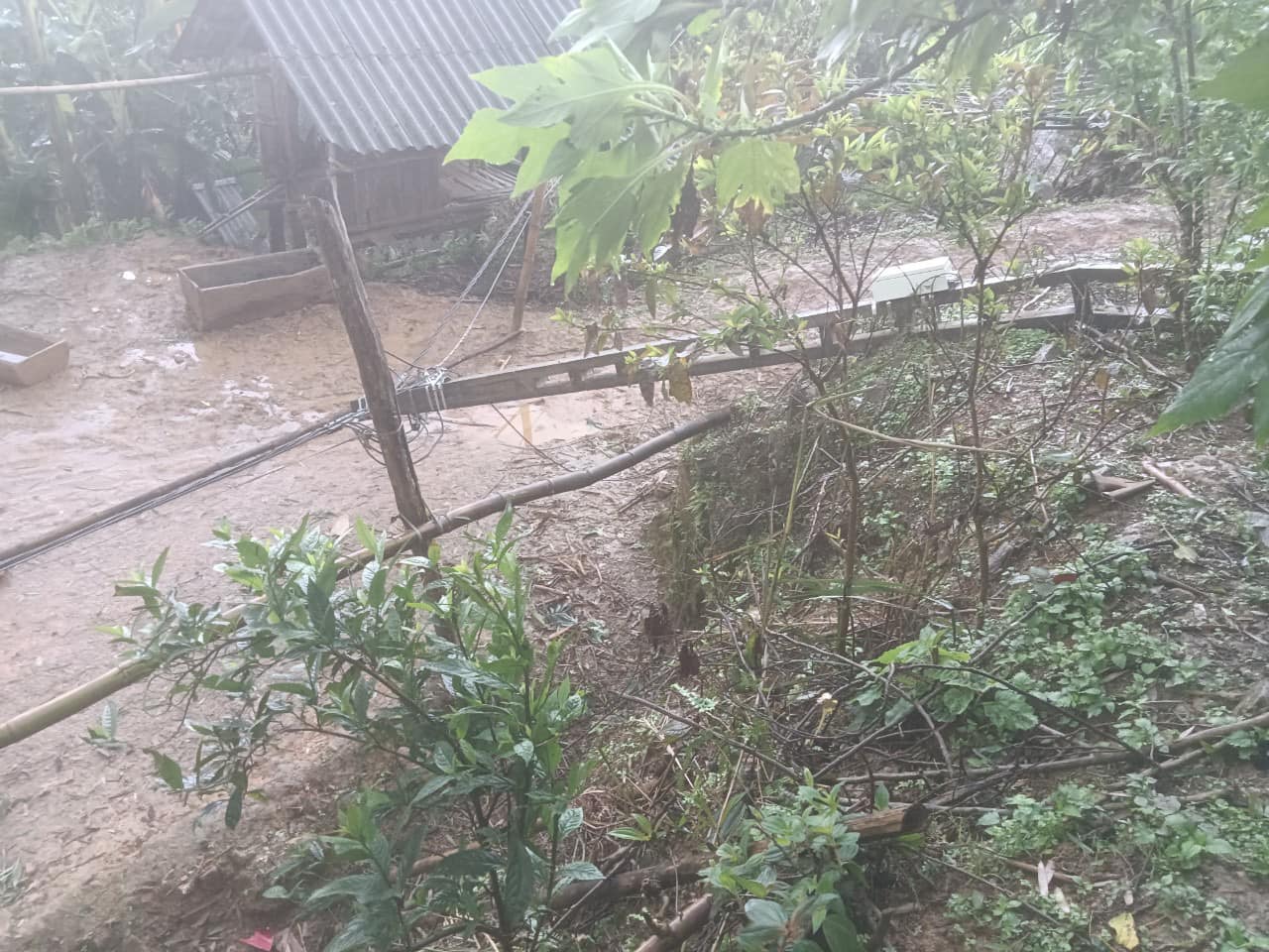 Lào Cai: Mưa lớn, gió lốc gây thiệt hại tài sản của nhân dân- Ảnh 2.