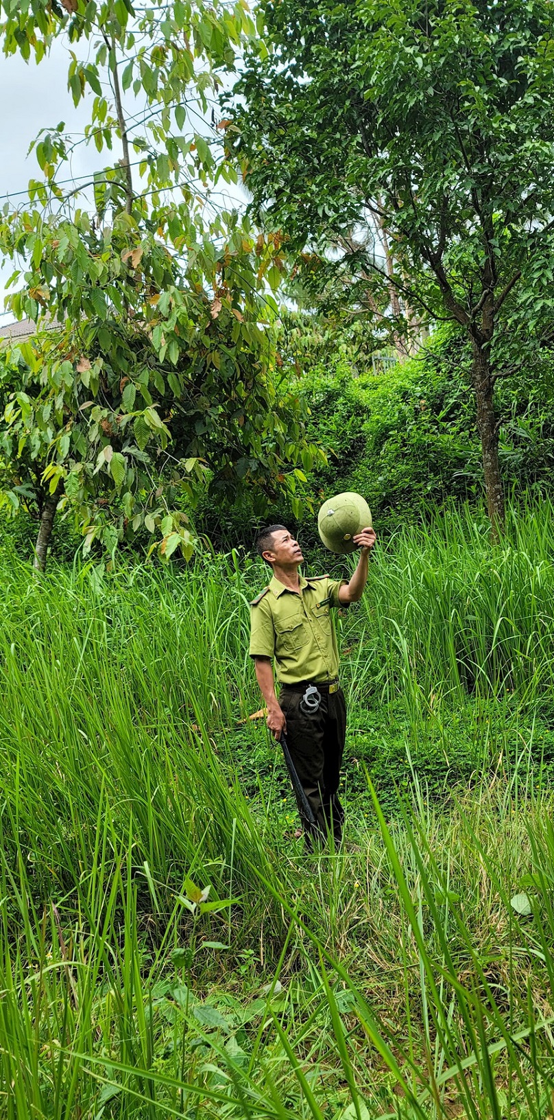 Vô khu rừng rậm nổi tiếng ở Đắk Nông, lá rừng đặc sản ăn ngon, có một con động vật hoang dã lạ mắt- Ảnh 11.