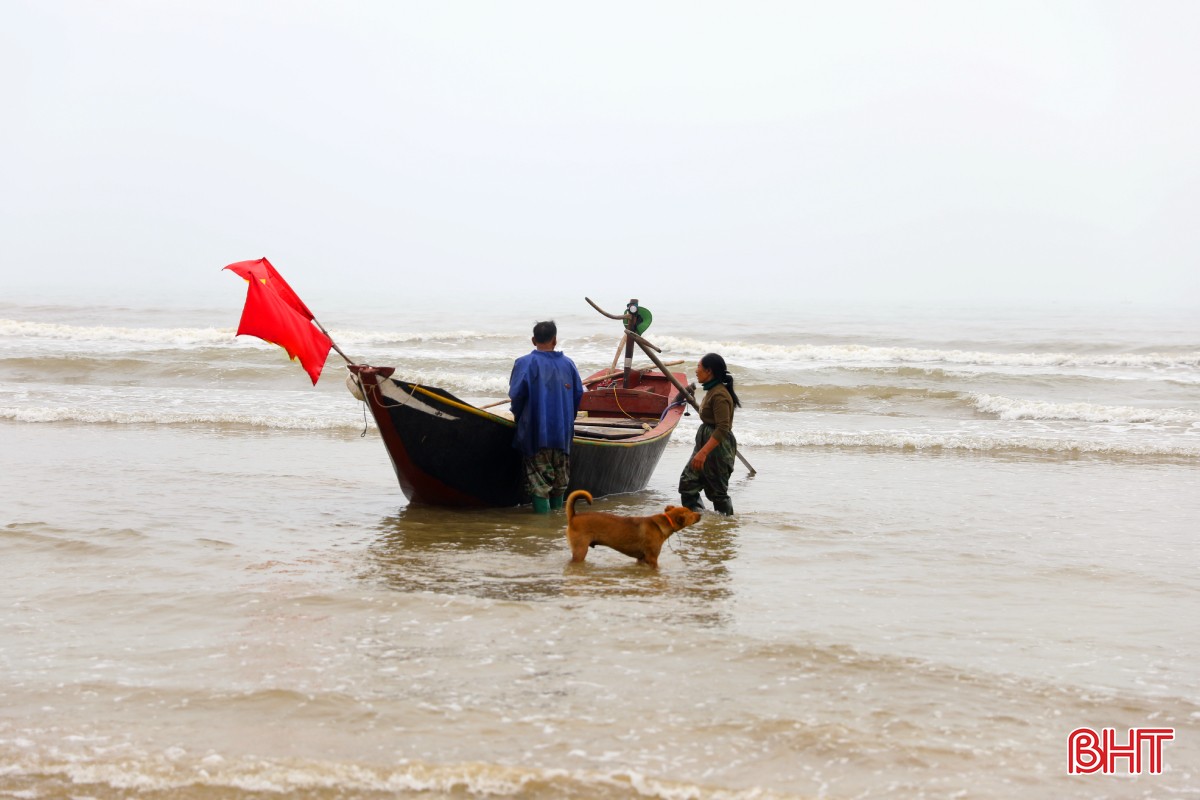 "Vàng trắng" vào mùa, ngư dân Kỳ Ninh, Hà Tĩnh rủ nhau tranh thủ "hái lộc” vàng ươm, thơm phức - Ảnh 1.