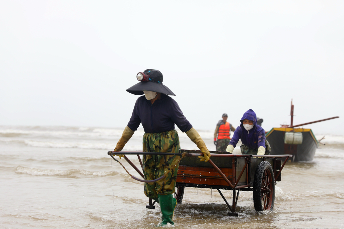 "Vàng trắng" vào mùa, ngư dân Kỳ Ninh, Hà Tĩnh rủ nhau tranh thủ "hái lộc” vàng ươm, thơm phức - Ảnh 2.