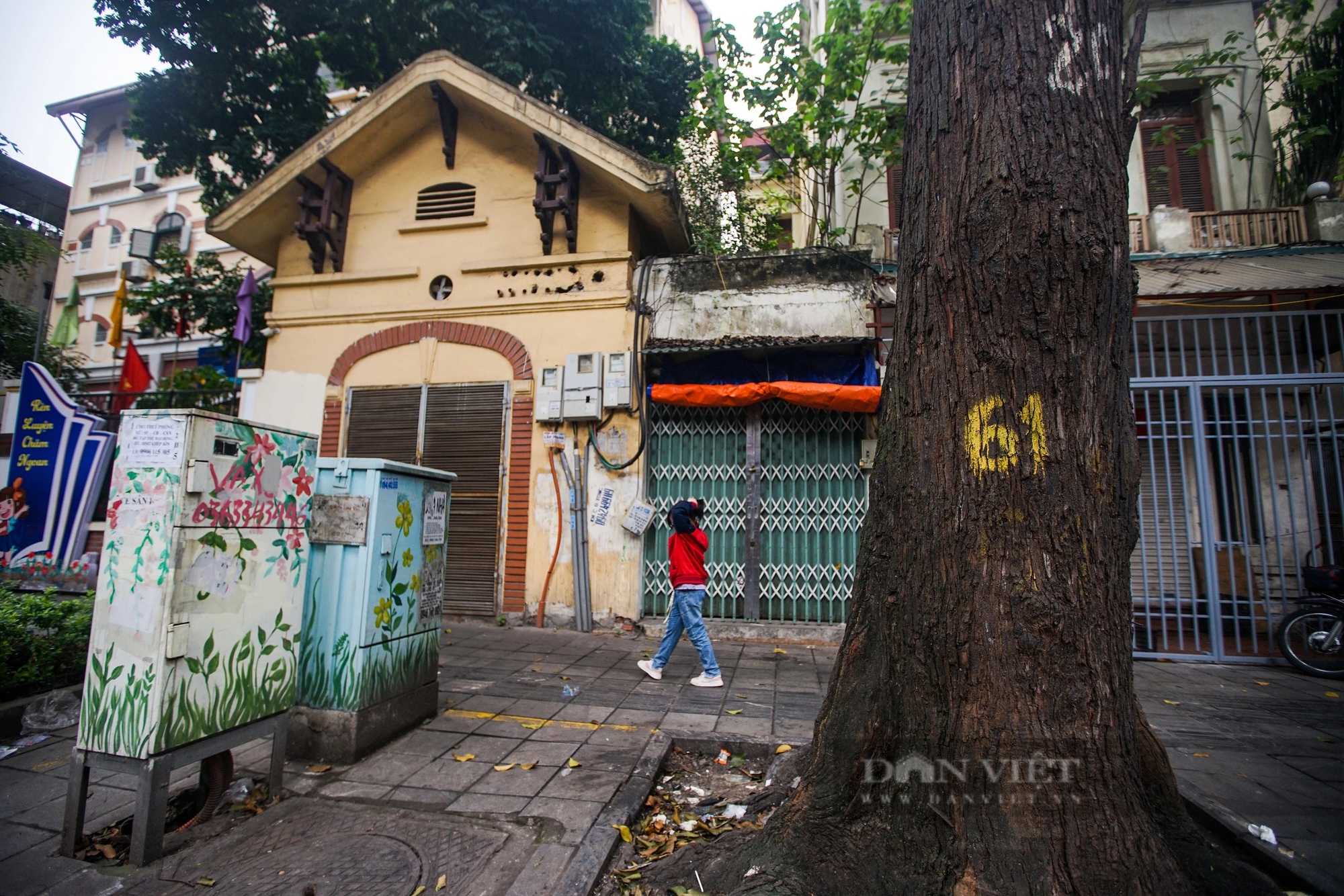 Cận cảnh hàng cây sao đen hơn 100 năm tuổi trên phố Lò Đúc, Hà Nội- Ảnh 5.