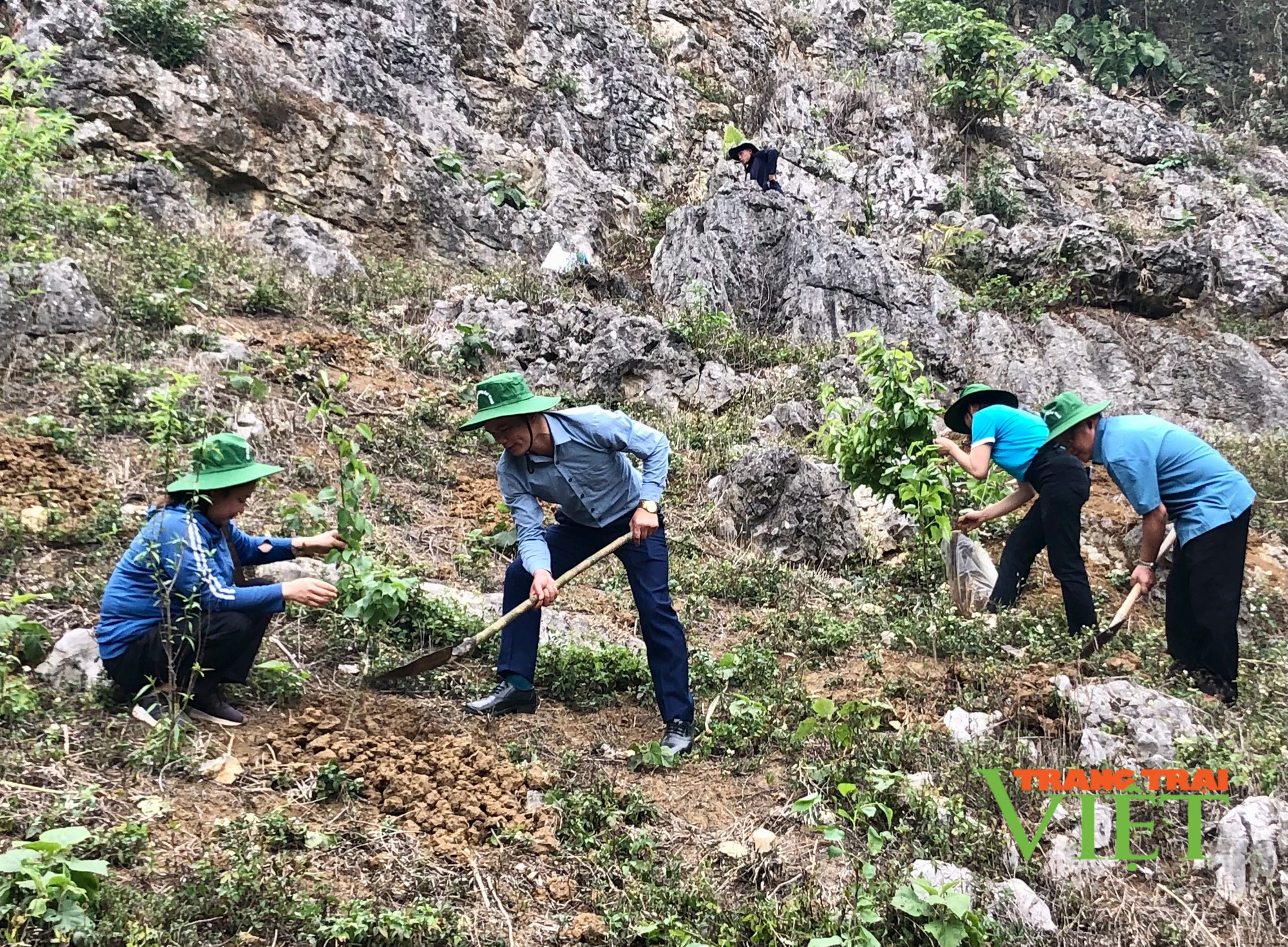 Hội Nông dân Sơn La: Phát động chiến dịch truyền thông về trồng rừng và phục hồi rừng tại Mộc Châu- Ảnh 2.