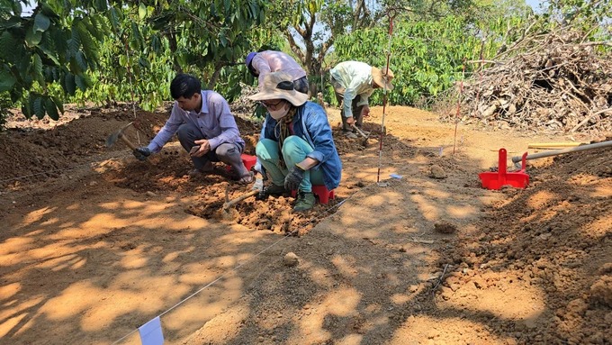 Đào khảo cổ ở một thôn của tỉnh Đắk Nông phát hiện dấu tích của người tiền sử, hiện vật cổ bằng đá thạch anh- Ảnh 2.