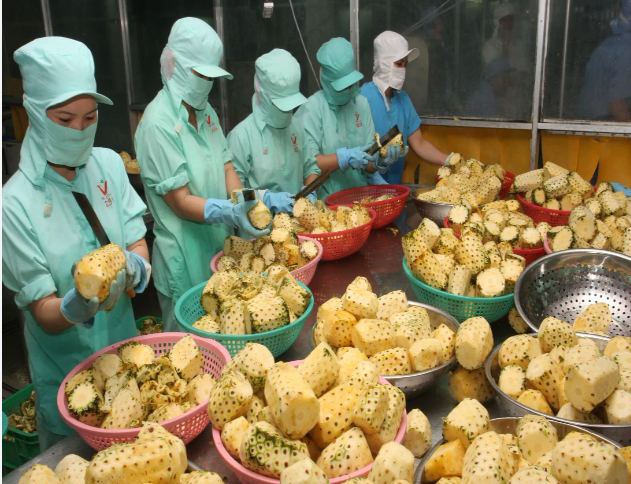 100 thông báo kiểm soát nông sản, thực phẩm vào EU chỉ trong 1 năm, 7 ngành hàng Việt Nam phải chú ý- Ảnh 1.