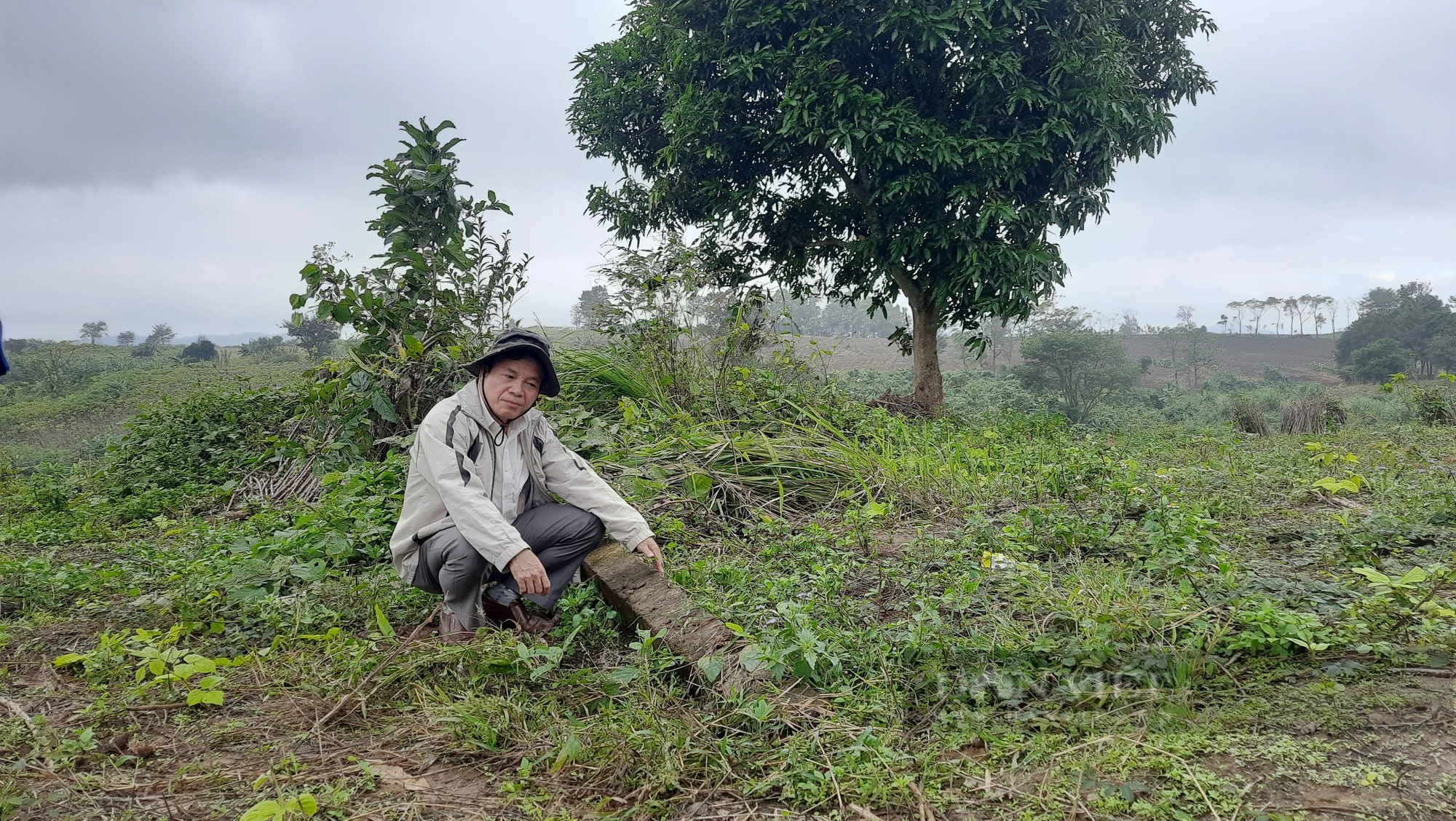 Vụ phá rừng chiếm 30ha đất ở Quảng Trị: Trách nhiệm của UBND xã- Ảnh 1.