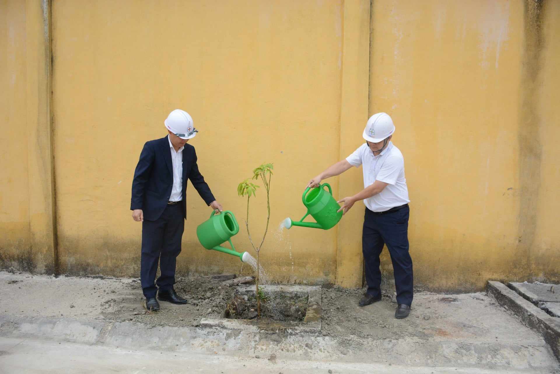 Công ty Điện lực Điện Biên trồng cây đầu Xuân tại khu vực trạm 110kV Mường Chà- Ảnh 2.