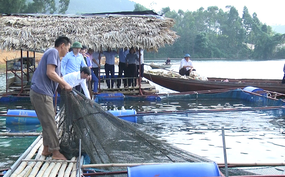 Ở Yên Bái, trên hồ nước nhân tạo rộng thứ 4 của Việt Nam, dân một huyện bắt bán hơn 8.500 tấn cá/năm- Ảnh 3.