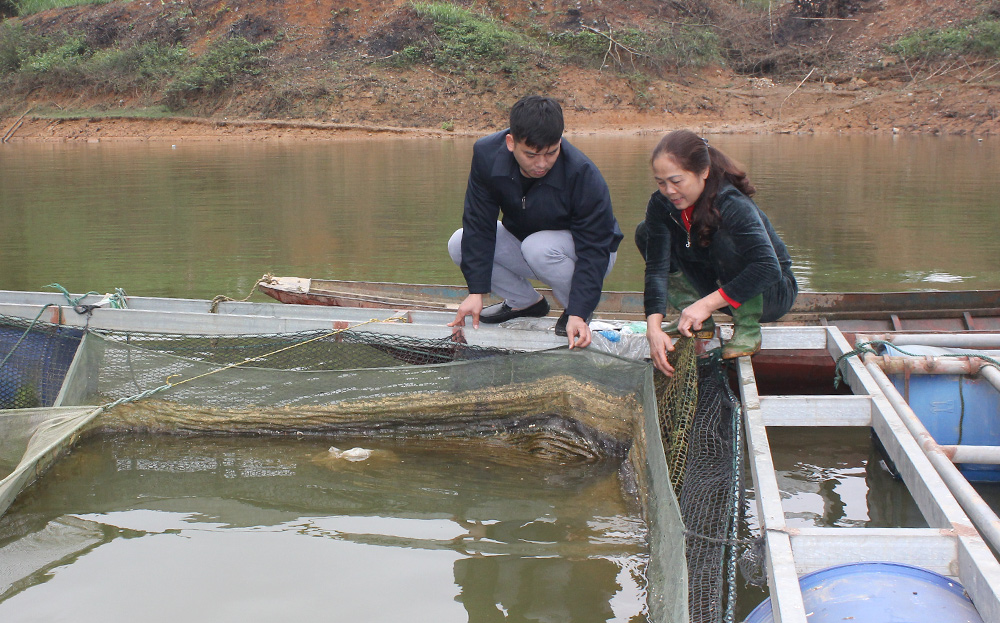 Ở Yên Bái, trên hồ nước nhân tạo rộng thứ 4 của Việt Nam, dân một huyện bắt bán hơn 8.500 tấn cá/năm- Ảnh 5.