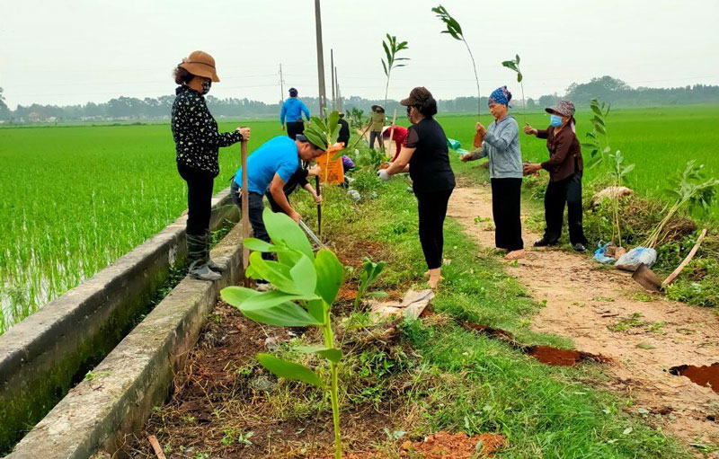 Hội Nông dân Bắc Ninh nhân rộng mô hình "Hàng cây nông dân"- Ảnh 1.