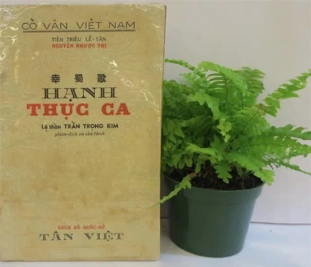 Nữ giáo viên dạy nhiều vua nhất Việt Nam là ai?- Ảnh 3.