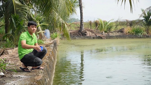 Nuôi dày đặc loài cá đặc sản trong ao, anh nông dân Đồng Nai bắt bán 450.000 đồng/kg, thương lái mua hết- Ảnh 2.