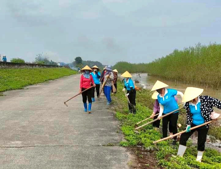 Một xã nông thôn mới ở Thanh Hóa, toàn dân sôi nổi tổng dọn vệ sinh tạo mỹ quan môi trường- Ảnh 2.
