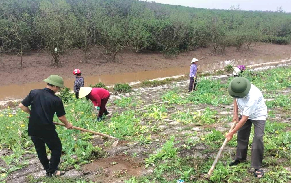 Một xã nông thôn mới ở Thanh Hóa, toàn dân sôi nổi tổng dọn vệ sinh tạo mỹ quan môi trường- Ảnh 3.