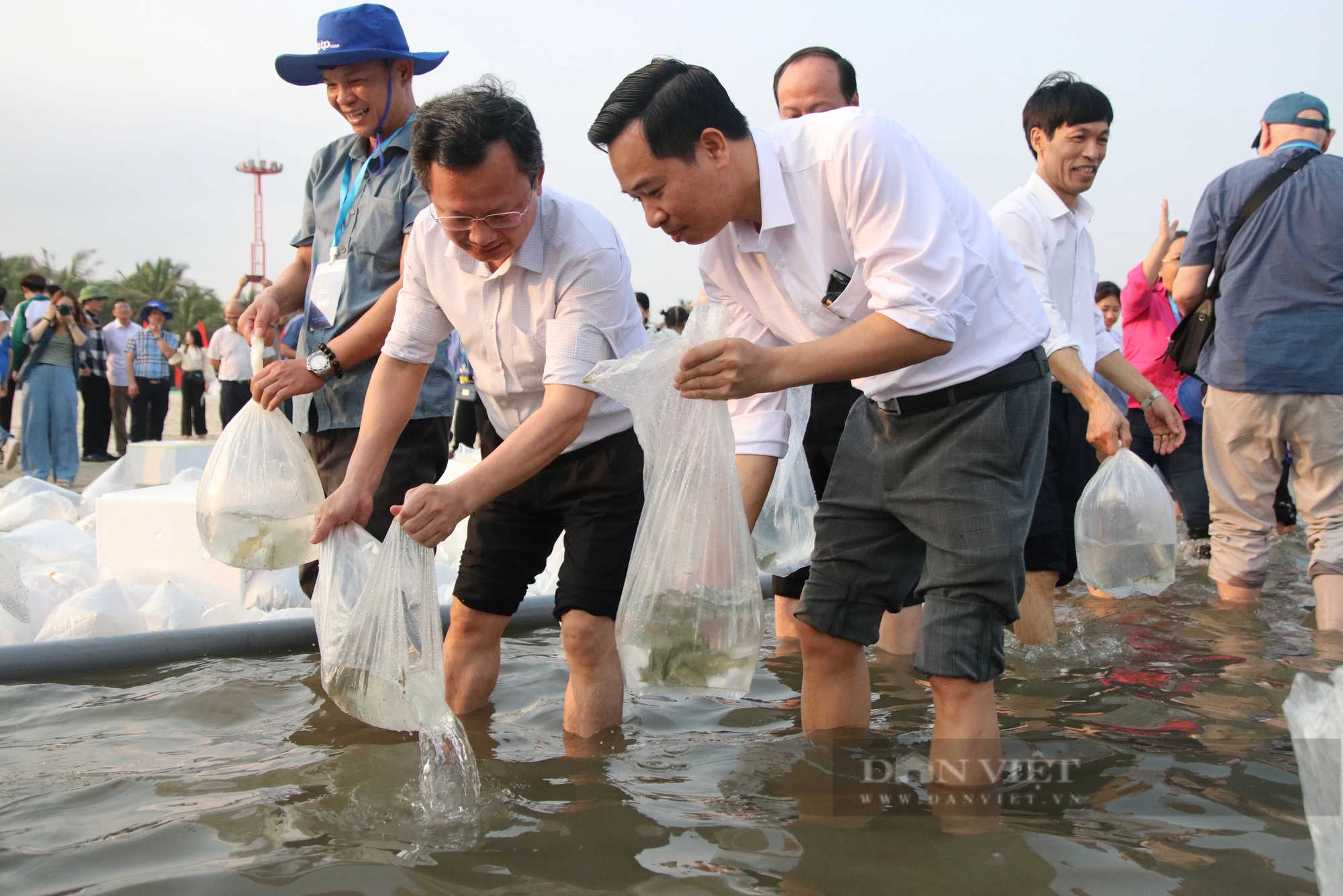 Bộ trưởng Lê Minh Hoan, Bí thư Tỉnh ủy Quảng Ninh Nguyễn Xuân Ký cùng 100 đại biểu thả 5 triệu con giống về biển- Ảnh 10.