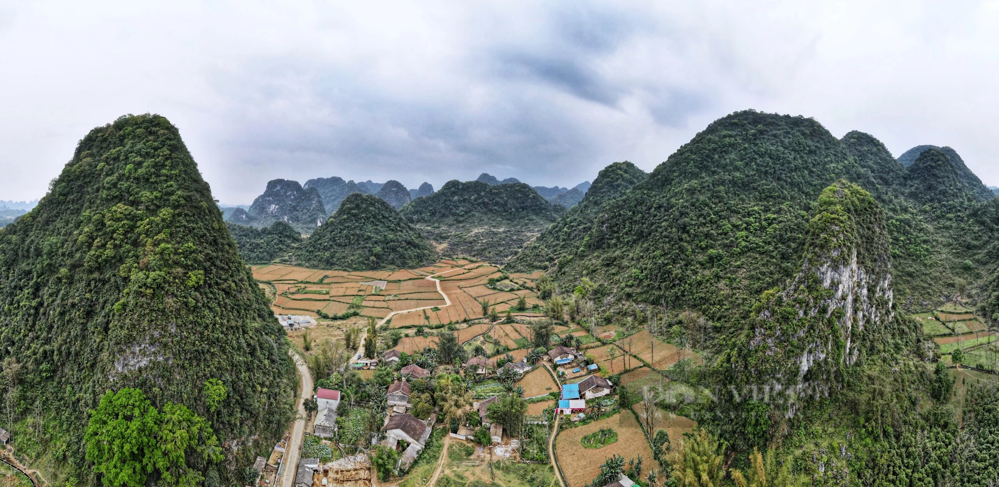 Một làng nhỏ ở Cao Bằng phát triển du lịch cộng đồng để bảo tồn loài vượn quý hiếm thứ 2 thế giới- Ảnh 1.