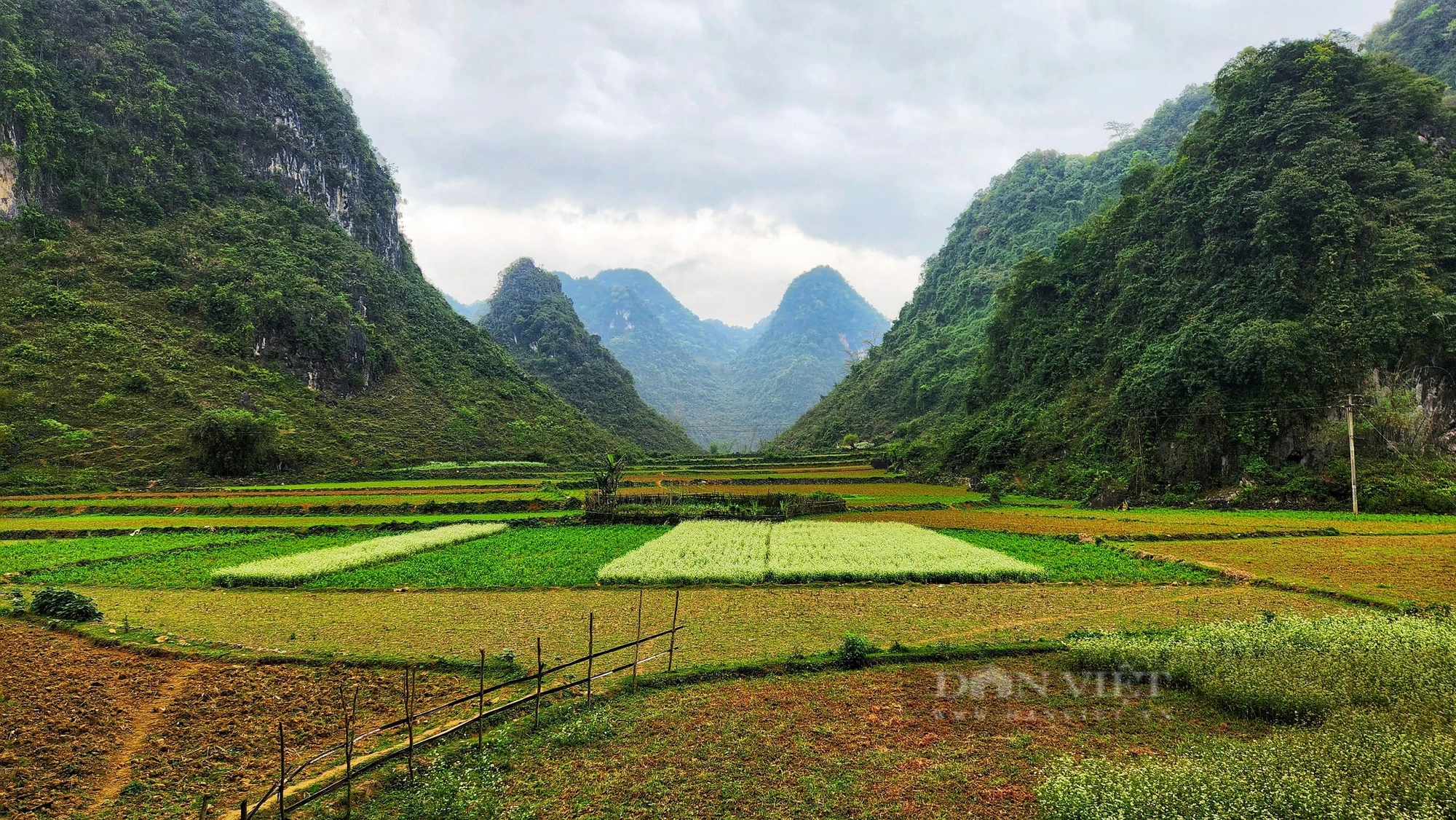 Một làng nhỏ ở Cao Bằng phát triển du lịch cộng đồng để bảo tồn loài vượn quý hiếm thứ 2 thế giới- Ảnh 2.