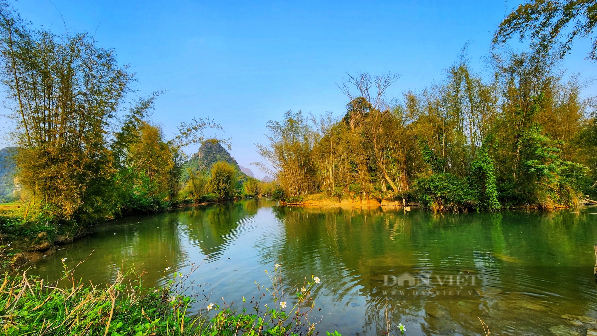 Một làng nhỏ ở Cao Bằng phát triển du lịch cộng đồng để bảo tồn loài vượn quý hiếm thứ 2 thế giới- Ảnh 3.