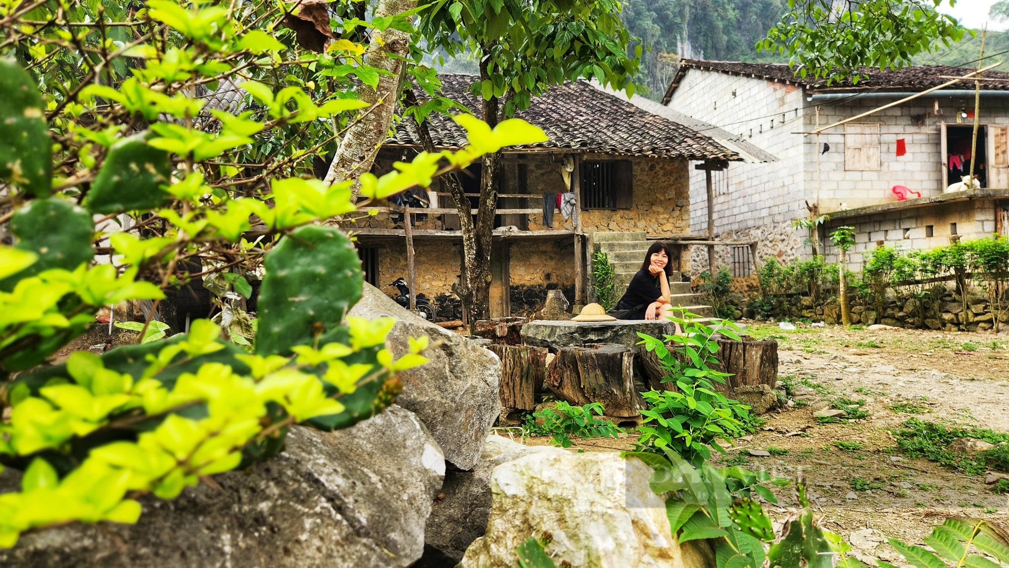 Một làng nhỏ ở Cao Bằng phát triển du lịch cộng đồng để bảo tồn loài vượn quý hiếm thứ 2 thế giới- Ảnh 7.