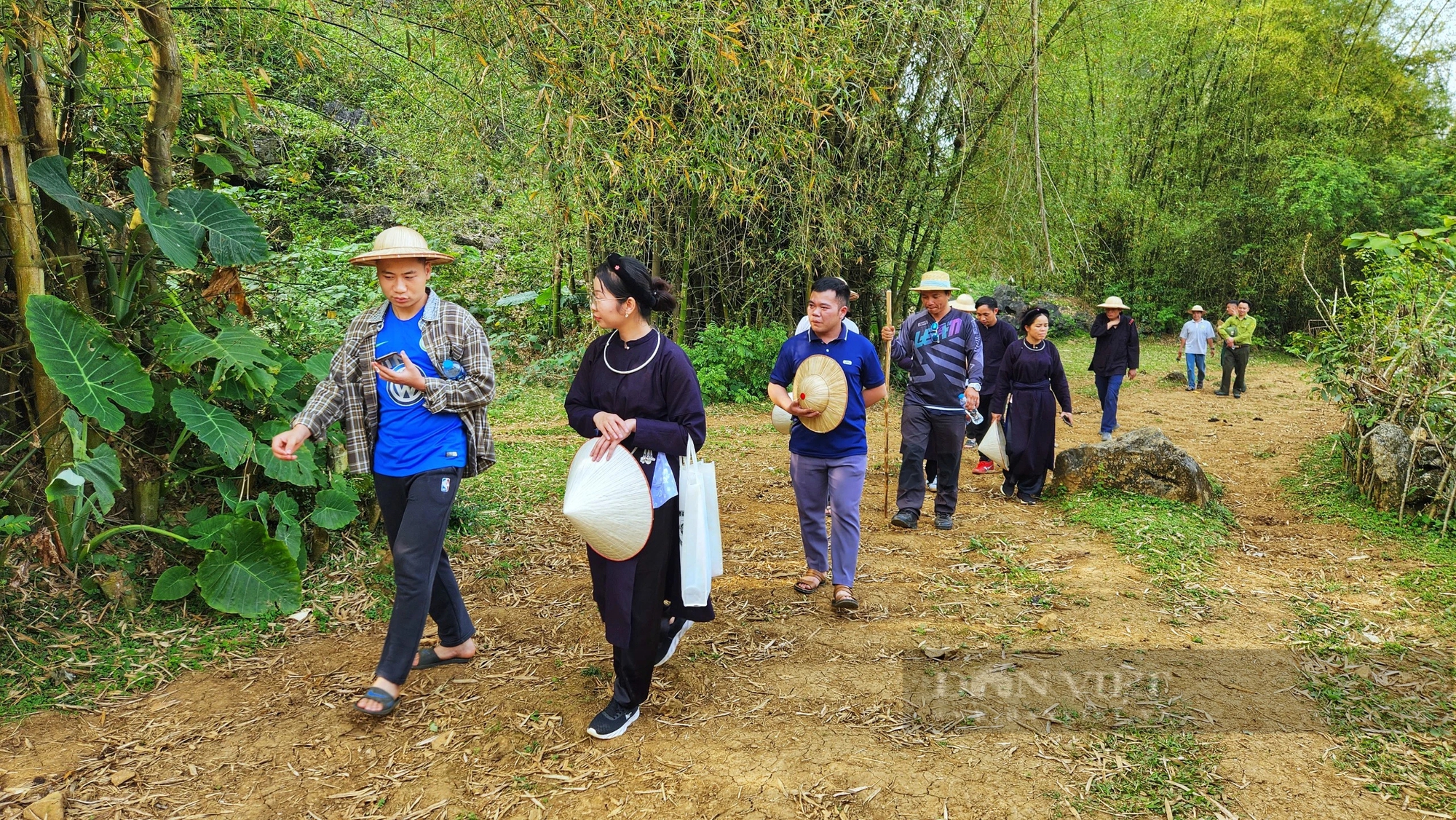 Một làng nhỏ ở Cao Bằng phát triển du lịch cộng đồng để bảo tồn loài vượn quý hiếm thứ 2 thế giới- Ảnh 14.