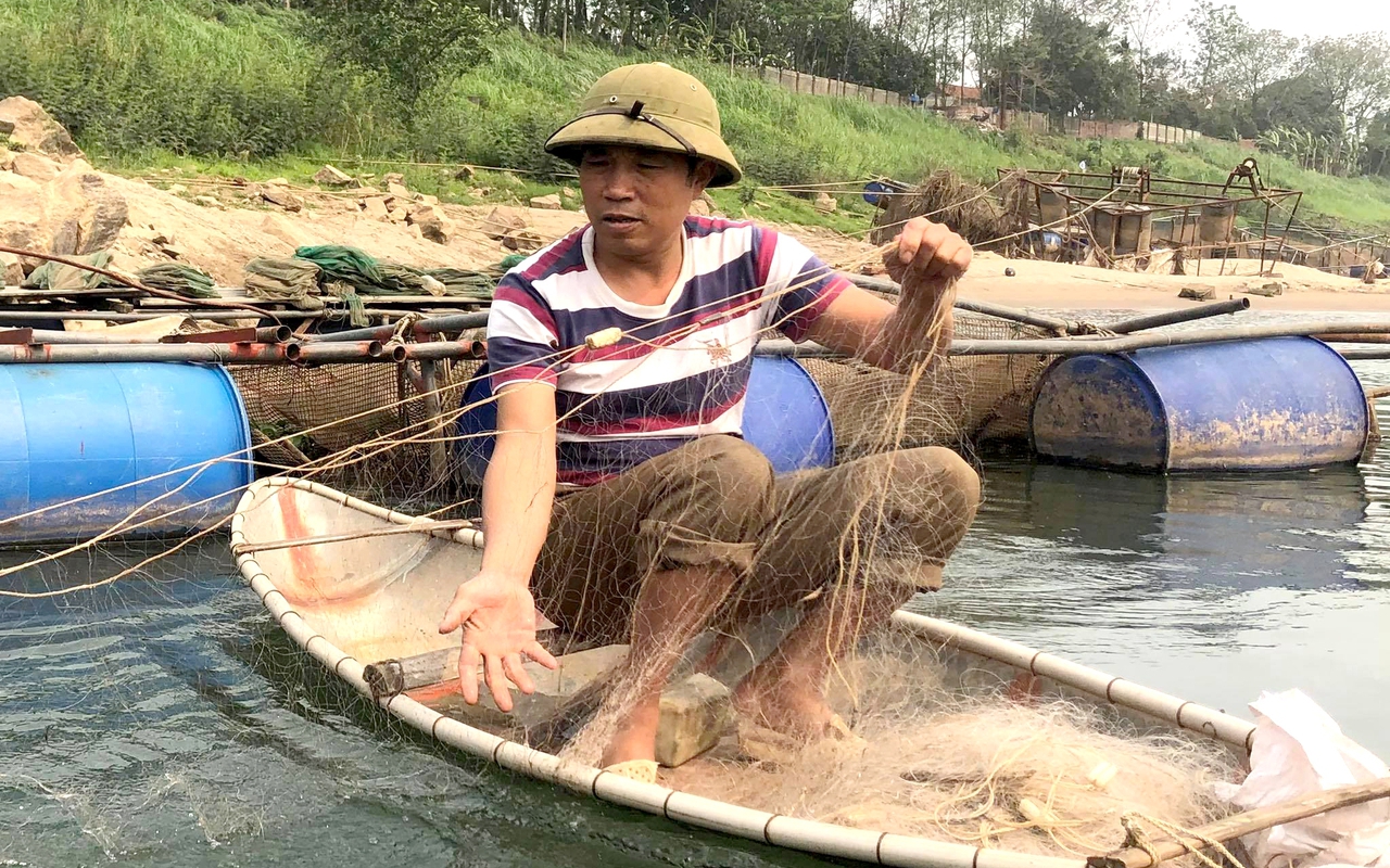 Săn lùng loài cá nghe tên giật mình ở con sông Đà qua Phú Thọ, đem về nấu vờ thành đặc sản