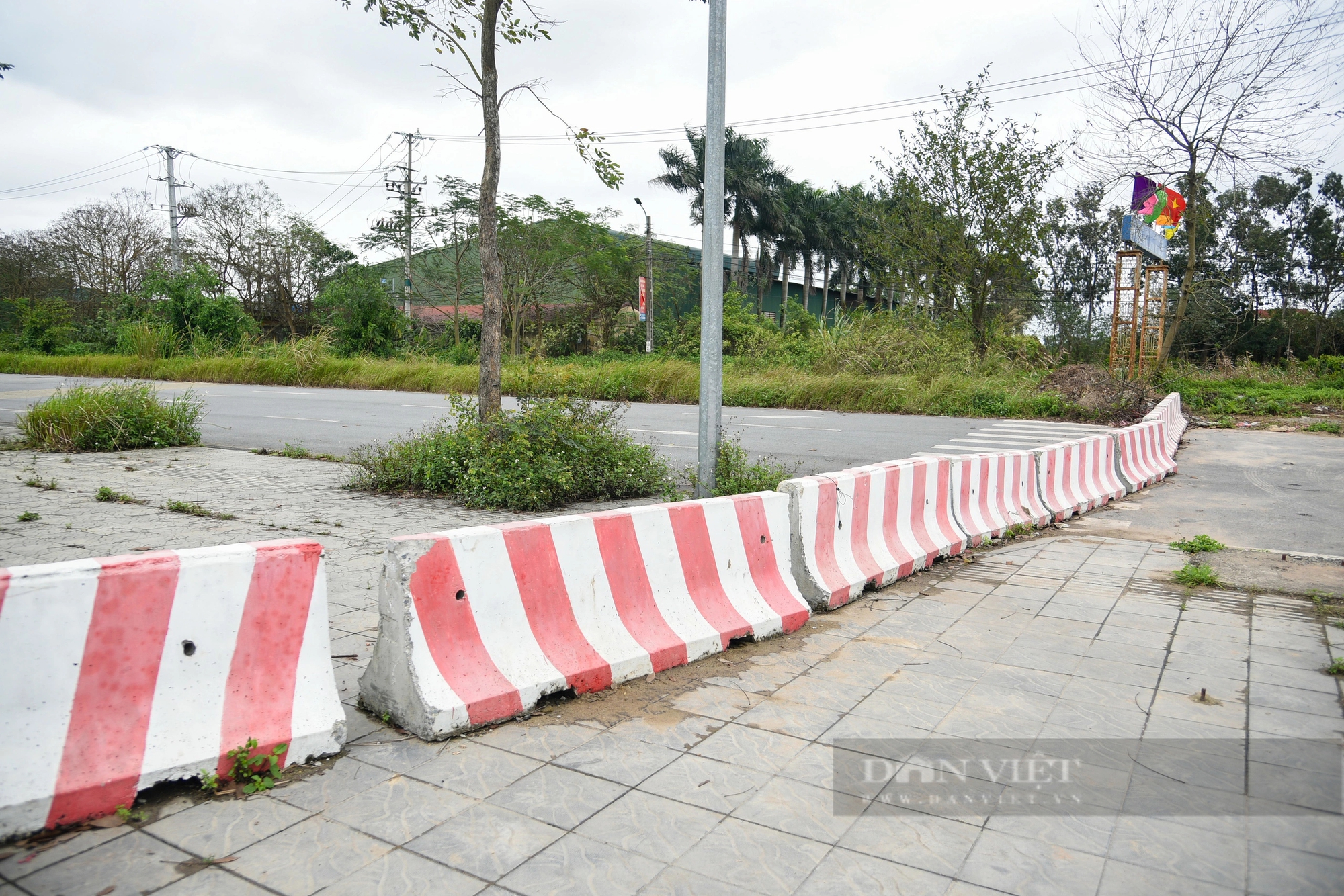 Hiện trạng khu đất rộng hơn 16.000 m2 vừa bị Hà Nội hủy kết quả trúng đấu giá- Ảnh 6.