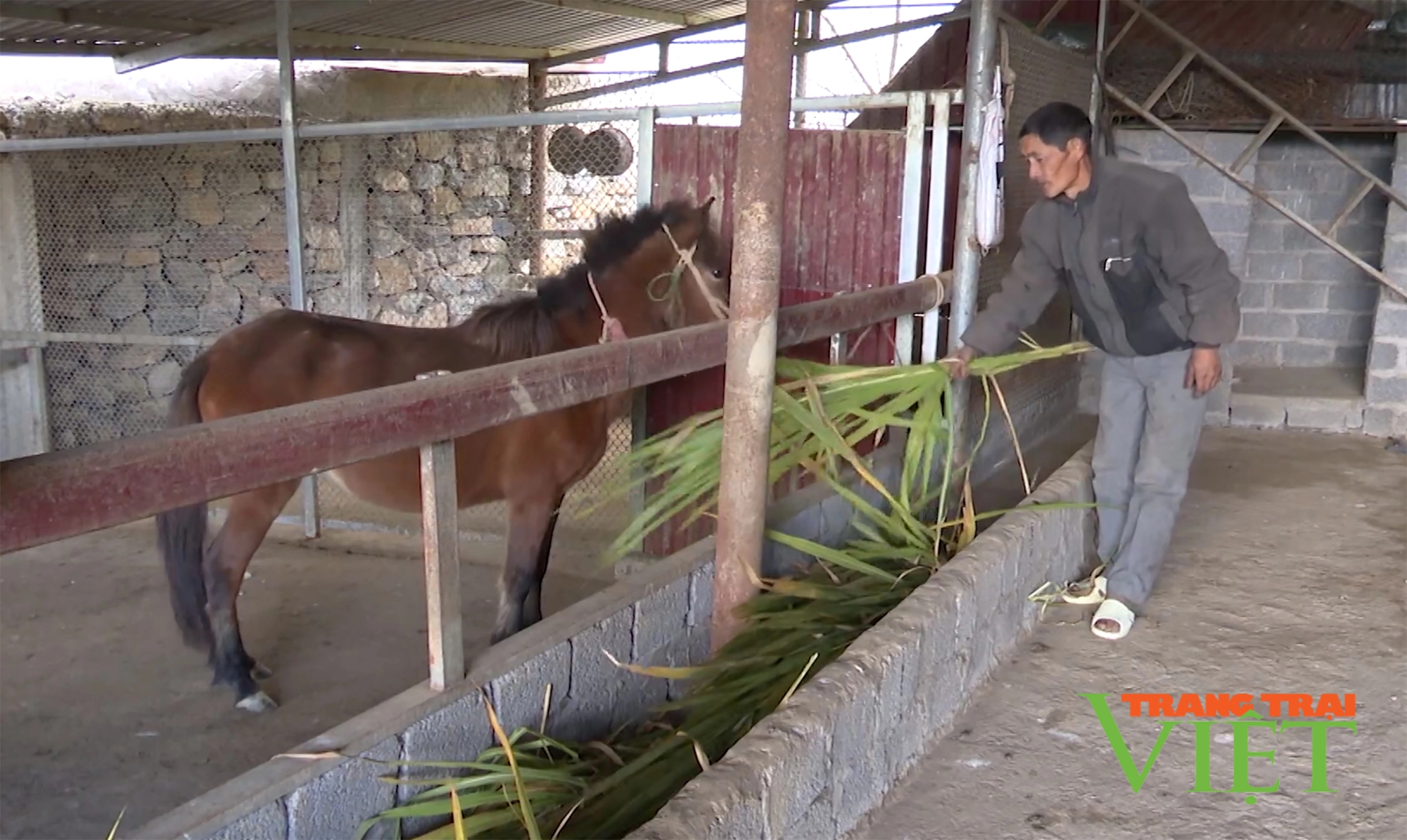 Sìn Hồ phát triển các mô hình sản suất, nâng cao thu nhập cho người dân- Ảnh 3.