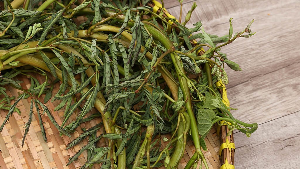 Một loại rau dân dã, giá rẻ như cho, là vị thuốc Đông Y hiệu quả: Mọc hoang khắp vùng thôn quê Việt- Ảnh 3.