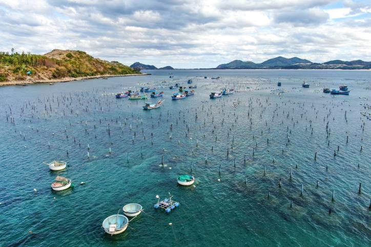 Giới khoa học Việt, Úc hợp sức phát triển nuôi thủy sản vịnh Xuân Đài ở Phú Yên- Ảnh 2.