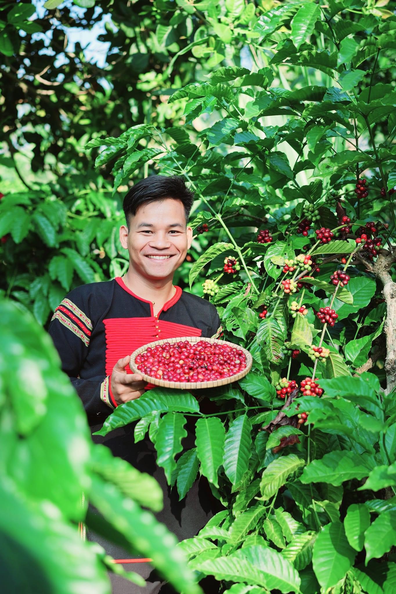 Anh nông dân Việt Nam xuất sắc người Ê Đê làm chủ công ty cà phê vào đề thi Olympic của tỉnh Đắk Lắk- Ảnh 1.