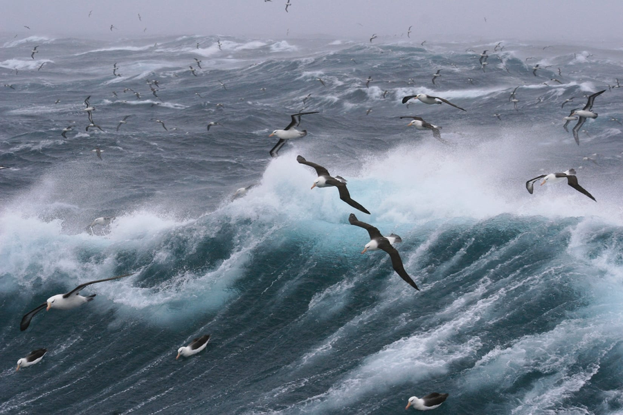 Những con sóng khổng lồ nguy hiểm nhất thế giới nằm ở đâu, cao bao nhiêu mét?- Ảnh 1.