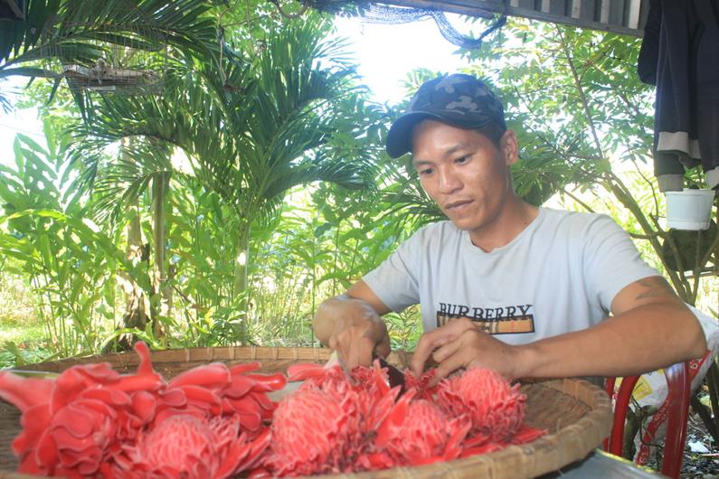 Cây cảnh lạ mắt, lạ màu do một nông dân Đồng Nai trồng thành công, ai ngờ thứ quý giá nhất là bộ phận này- Ảnh 4.