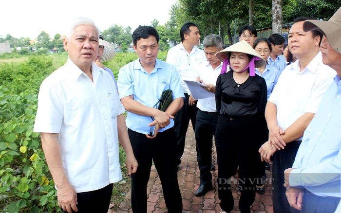 Ông Nguyễn Văn Lợi - Bí thư Tỉnh ủy tỉnh Bình Dương trong một chuyến kiểm tra các khu đất công trên địa bàn TP.Thủ Dầu Một. Ảnh: Nguyên Vỹ