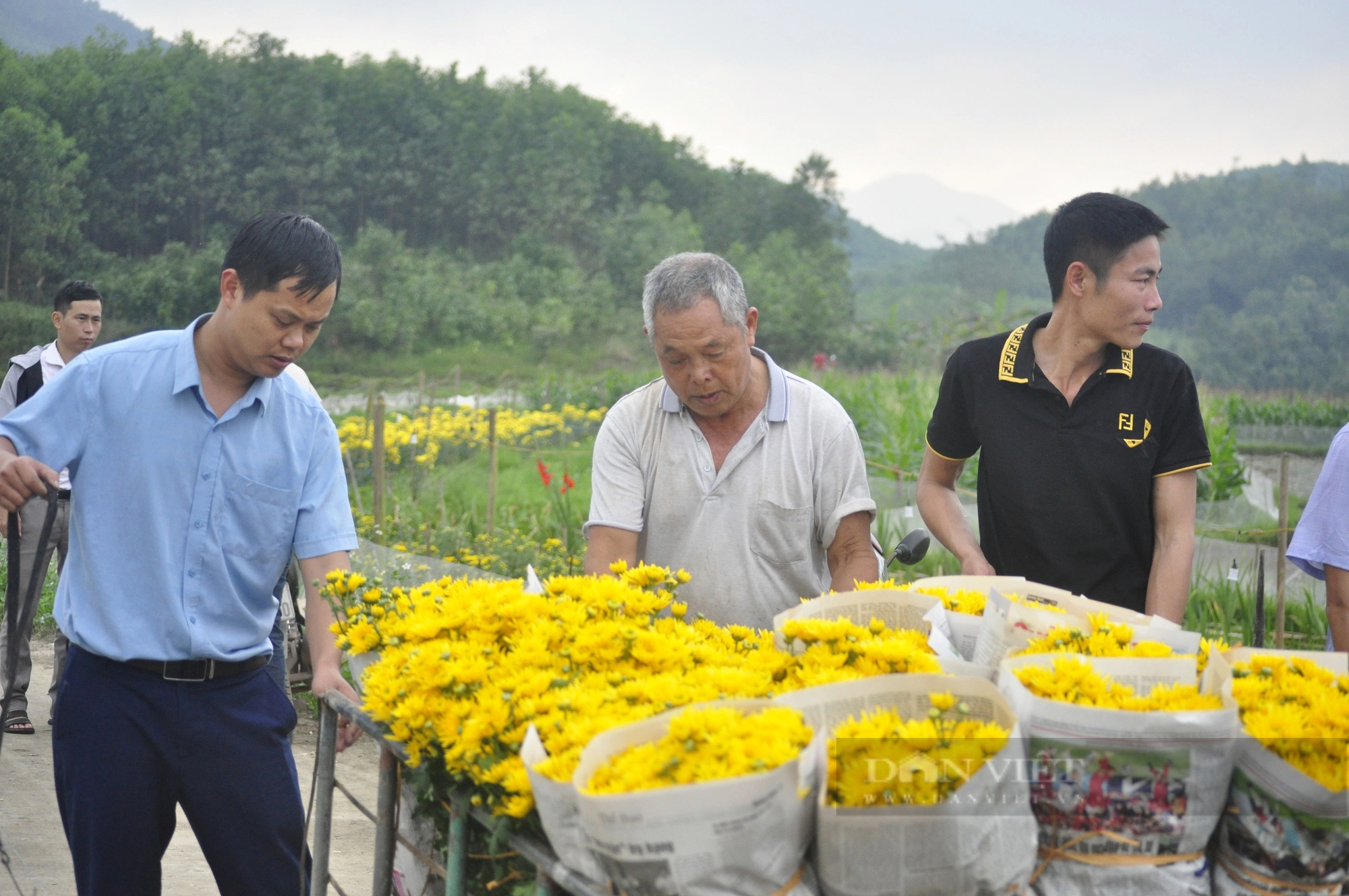 Từ một huyện nông thôn mới của Quảng Ninh đến huyện đạt chuẩn nông thôn mới nâng cao đầu tiên của Việt Nam- Ảnh 6.