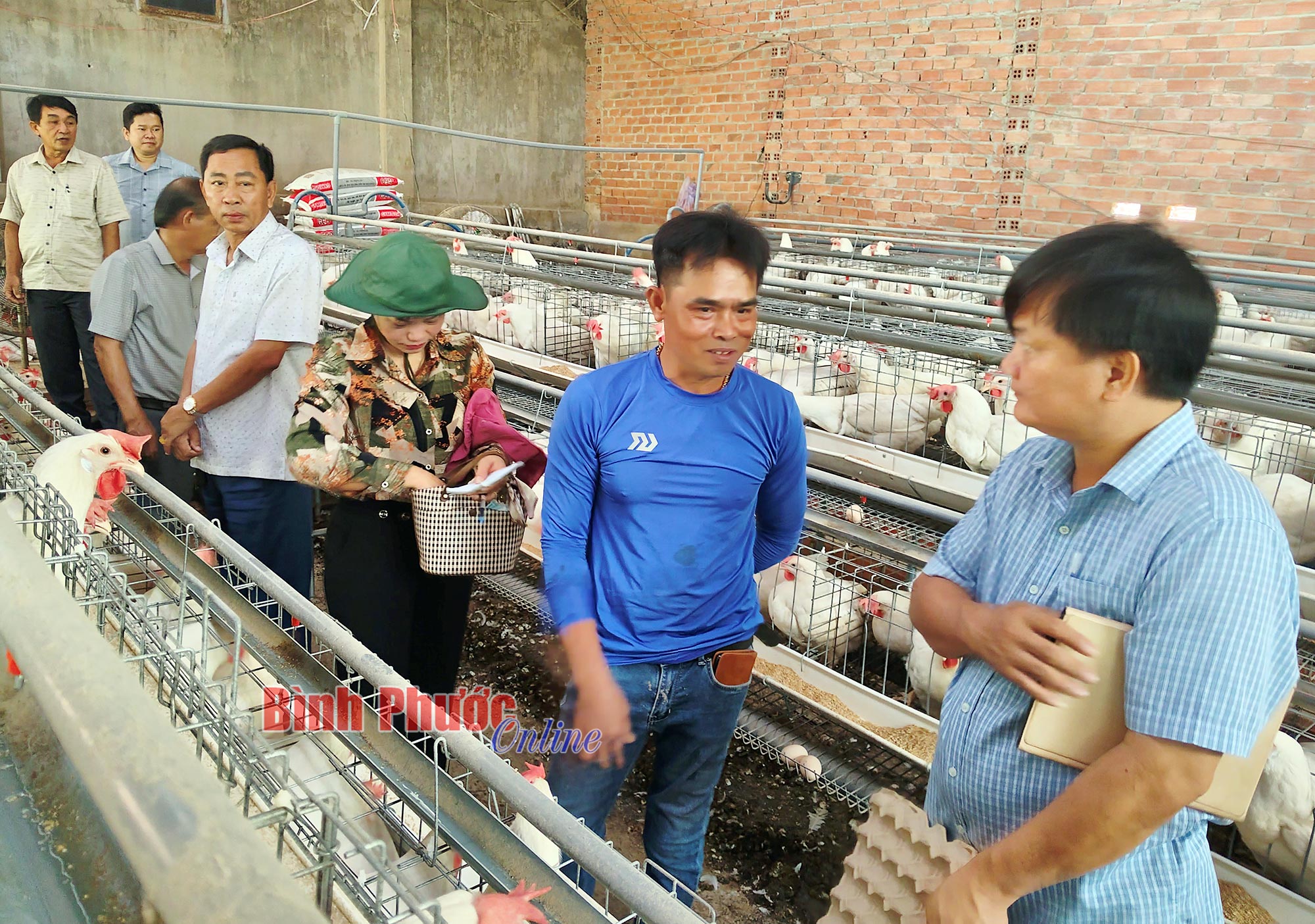 Điều khiển đàn gà khổng lồ đẻ 2.000 quả trứng mỗi ngày, anh nông dân Bình Phước thu 500 triệu đồng/năm- Ảnh 2.
