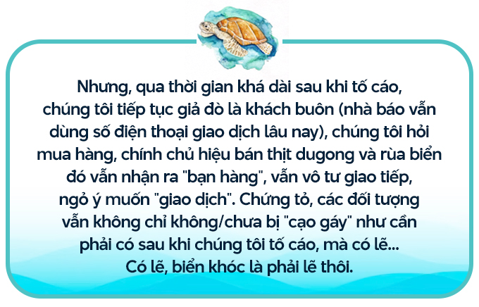 Xẻ thịt "nàng tiên cá", mổ bụng moi trứng rùa biển (Bài 3): Trói, giết, mổ bụng, moi trộm trứng các "cụ rùa"- Ảnh 2.