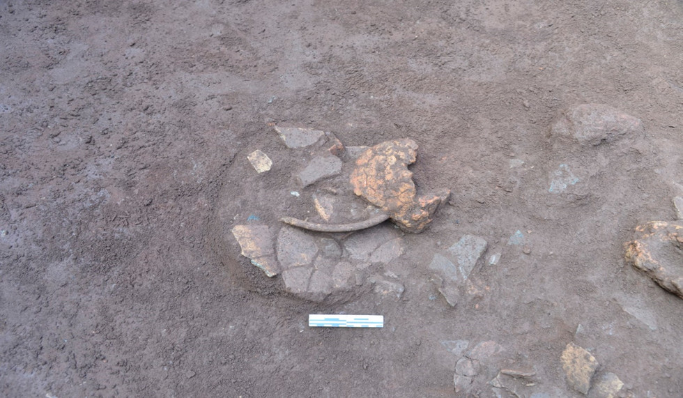 Đào khảo cổ ở thành đất hình tròn trong một khu rừng cao su ở Bình Phước phát lộ nồi gốm, mộ táng cổ xưa- Ảnh 10.