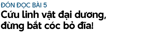 Xẻ thịt "nàng tiên cá", mổ bụng moi trứng rùa biển (Bài 4): Đối thoại với một "sát thủ rùa biển" khét tiếng- Ảnh 22.