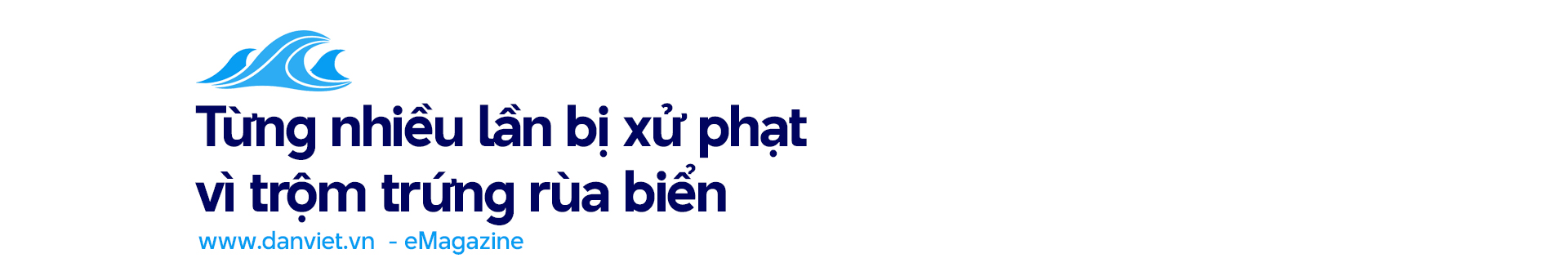 Xẻ thịt "nàng tiên cá", mổ bụng moi trứng rùa biển (Bài 4): Đối thoại với một "sát thủ rùa biển" khét tiếng- Ảnh 15.