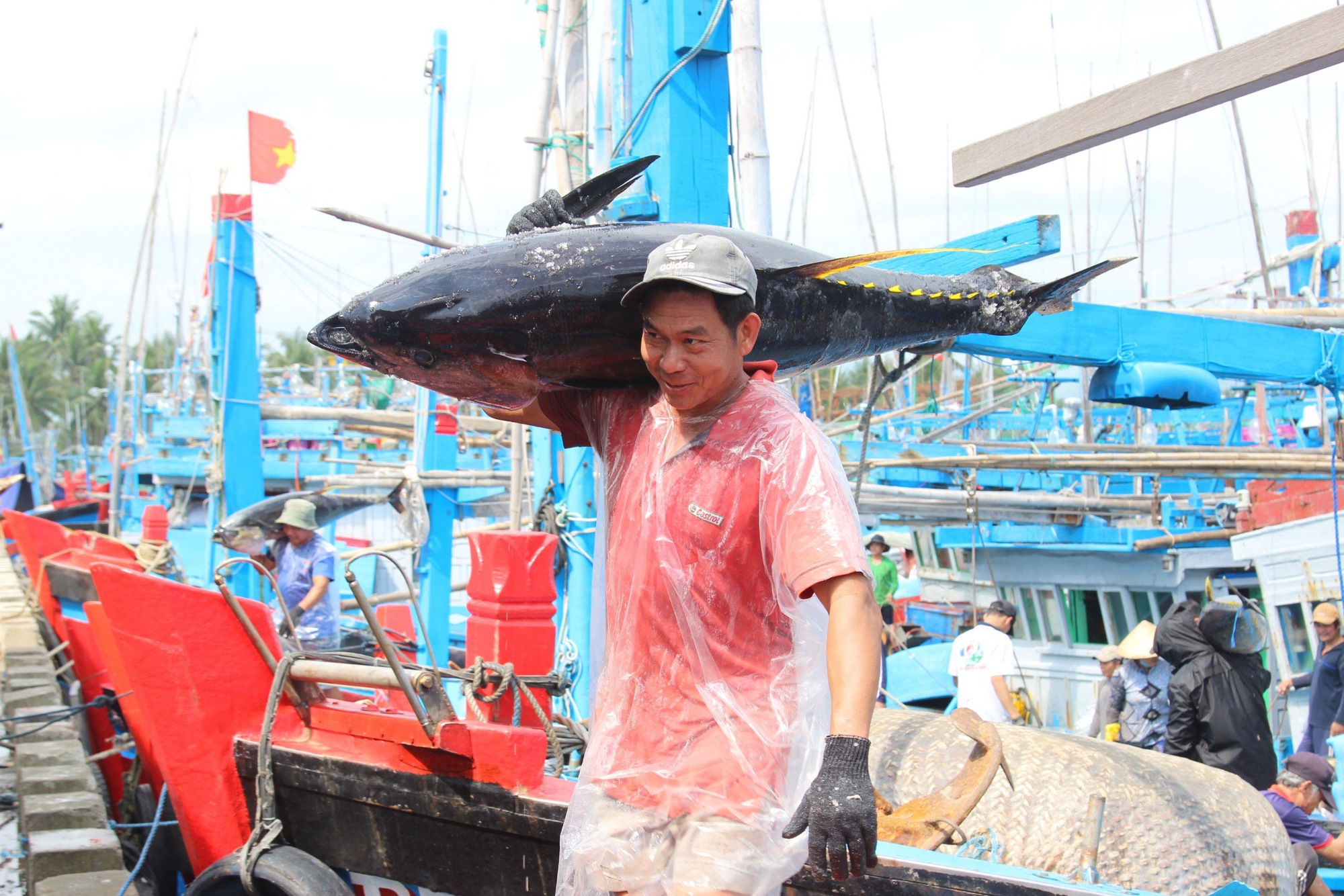 Cận cảnh cánh trai làng biển ở Bình Định, ông nào cũng lực lưỡng vác loài cá "khổng lồ" lên bờ- Ảnh 8.
